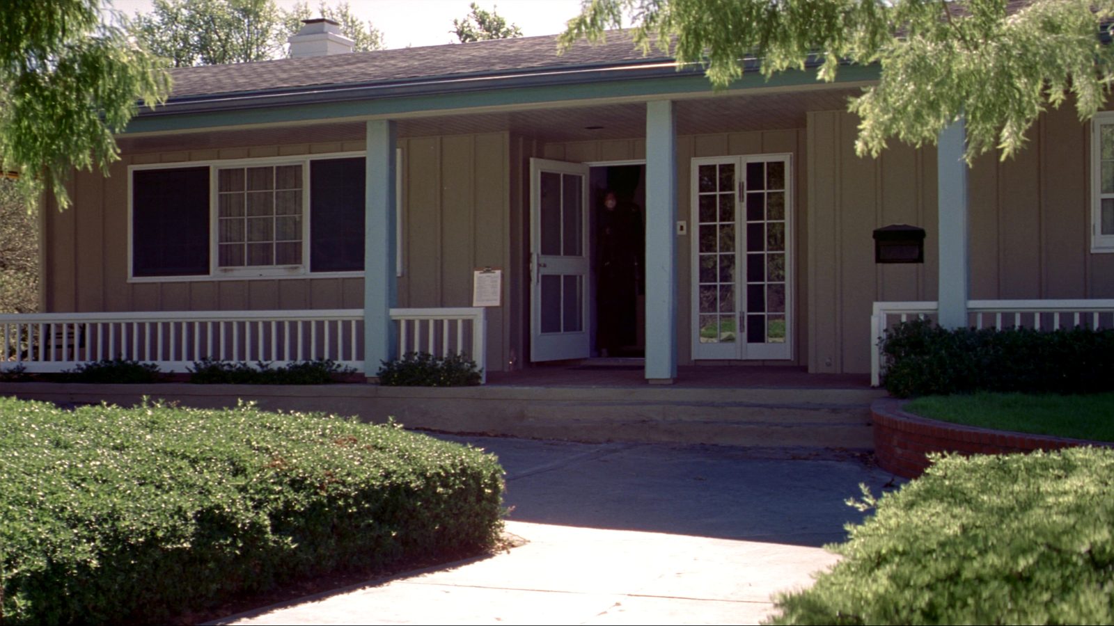 Real estate professional analyzing home value and property market trends