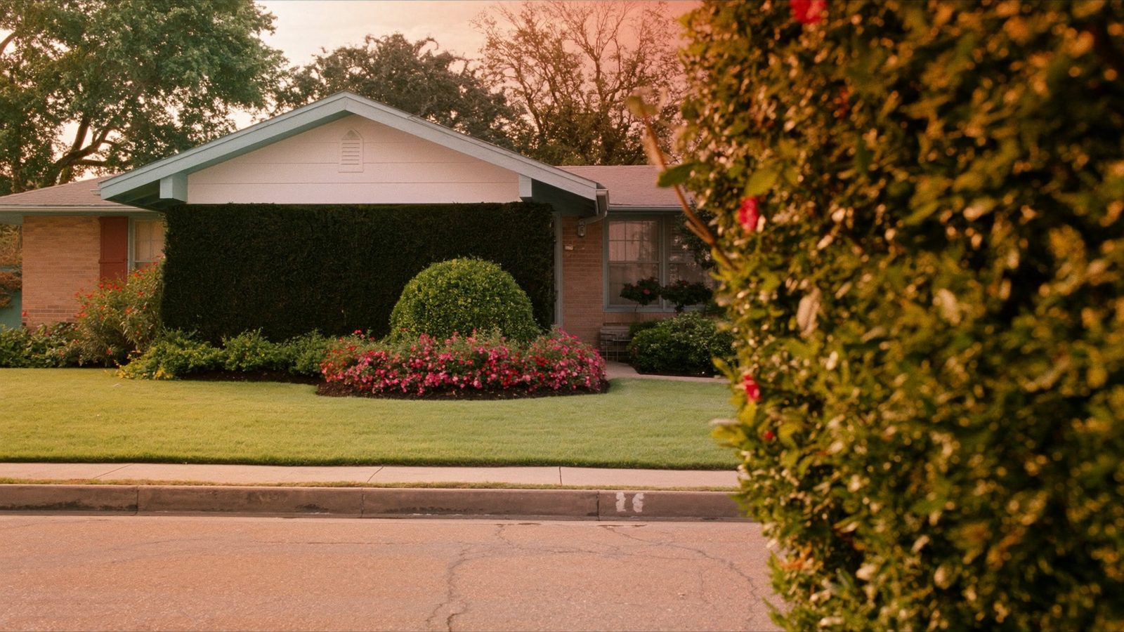 Property maintenance and home improvement